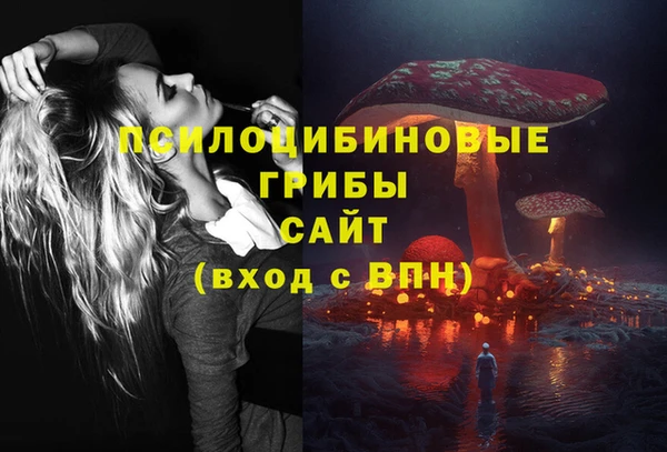 прущая мука Армянск