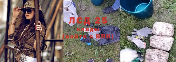 ГАЛЛЮЦИНОГЕННЫЕ ГРИБЫ Алексеевка