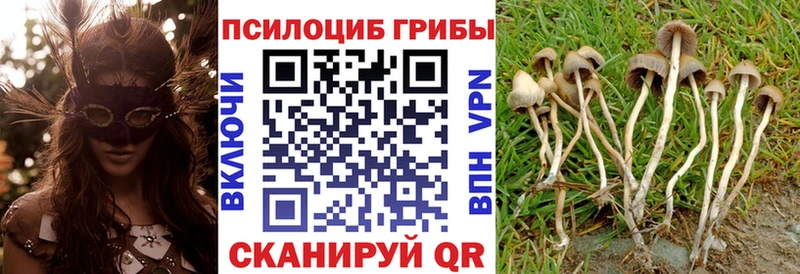 Псилоцибиновые грибы прущие грибы  Медынь 